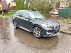 WBXJG9C08L5R31713 2020 BMW X1