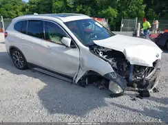 WBXJG9C09L5P61149 2020 BMW X1