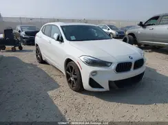 WBXYJ1C01L5P66489 2020 BMW X2