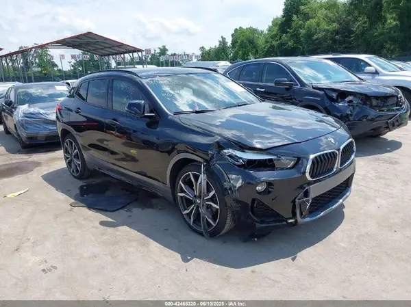 WBXYJ1C06L5P48974 2020 BMW X2 - Image 1