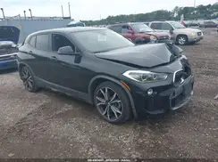 WBXYJ1C0XL5P33667 2020 BMW X2