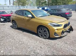 WBXYN1C52KEF29317 2019 BMW X2