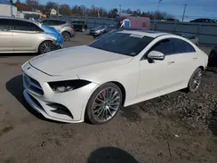 WDD2J5JB8KA031227 2019 MERCEDES-BENZ CLS-KLASSE