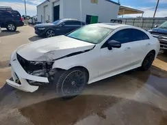 WDD2J5JB8LA050183 2020 MERCEDES-BENZ CLS-KLASSE