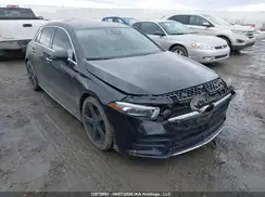 WDD3F4HB2KJ065573 2019 MERCEDES-BENZ A-KLASSE