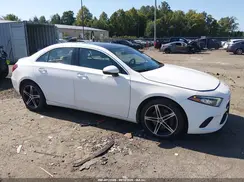 WDD3G4EB1KW012450 2019 MERCEDES-BENZ A-KLASSE