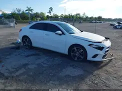 WDD3G4EB9KW006010 2019 MERCEDES-BENZ A-KLASSE