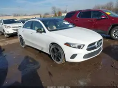 WDD3G4FB1KW010597 2019 MERCEDES-BENZ A-KLASSE