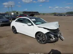 WDD3G4FB1KW015508 2019 MERCEDES-BENZ A-KLASSE