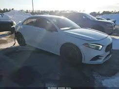 WDD3G4FB3KW031516 2019 MERCEDES-BENZ A-KLASSE