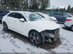 WDD3G4FB6KW021692 2019 MERCEDES-BENZ A-KLASSE