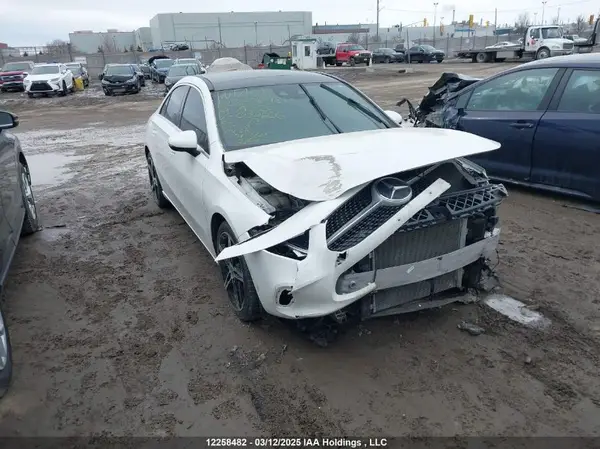 WDD3G4FB6KW030666 2019 MERCEDES-BENZ A-KLASSE - Image 1