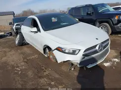 WDD3G4FB6LW040079 2020 MERCEDES-BENZ A-KLASSE