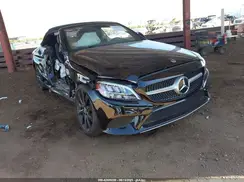WDDWK8DB0KF776651 2019 MERCEDES-BENZ C-KLASSE