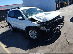 WVGAV7AX2HK042501 2017 VOLKSWAGEN TIGUAN