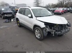 WVGAV7AX3HK010026 2017 VOLKSWAGEN TIGUAN