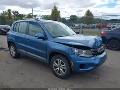 WVGAV7AX3HW503391 2017 VOLKSWAGEN TIGUAN
