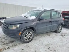 WVGAV7AX4GW509389 2016 VOLKSWAGEN TIGUAN