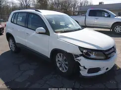 WVGAV7AX4HK046663 2017 VOLKSWAGEN TIGUAN