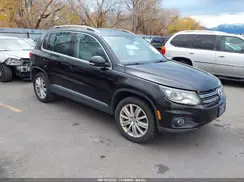 WVGAV7AX5GW602194 2016 VOLKSWAGEN TIGUAN