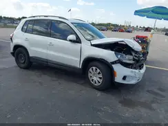 WVGAV7AX5HK043769 2017 VOLKSWAGEN TIGUAN