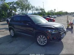 WVGAV7AX5HK054724 2017 VOLKSWAGEN TIGUAN