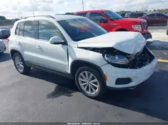 WVGAV7AX5HK055081 2017 VOLKSWAGEN TIGUAN