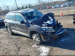 WVGAV7AX7GW561048 2016 VOLKSWAGEN TIGUAN