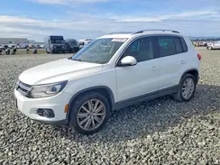 WVGAV7AX7GW613214 2016 VOLKSWAGEN TIGUAN