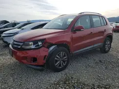 WVGAV7AX8GW024558 2016 VOLKSWAGEN TIGUAN