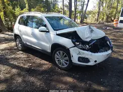 WVGAV7AX8GW575797 2016 VOLKSWAGEN TIGUAN