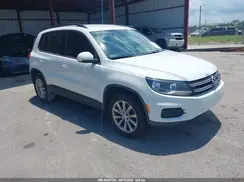 WVGAV7AX8HK050604 2017 VOLKSWAGEN TIGUAN