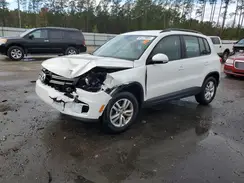 WVGAV7AX8HW503368 2017 VOLKSWAGEN TIGUAN