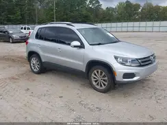 WVGAV7AX9HK042981 2017 VOLKSWAGEN TIGUAN