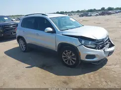 WVGAV7AX9HK043080 2017 VOLKSWAGEN TIGUAN
