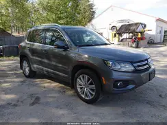 WVGBV7AX0GW557329 2016 VOLKSWAGEN TIGUAN