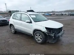 WVGBV7AX0GW604164 2016 VOLKSWAGEN TIGUAN