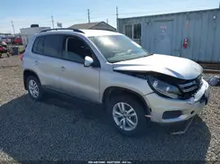 WVGBV7AX0HK027063 2017 VOLKSWAGEN TIGUAN