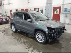 WVGBV7AX0HK053923 2017 VOLKSWAGEN TIGUAN