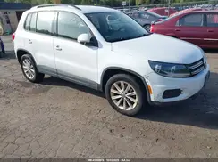WVGBV7AX0HK054599 2017 VOLKSWAGEN TIGUAN