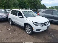 WVGBV7AX1GW573085 2016 VOLKSWAGEN TIGUAN