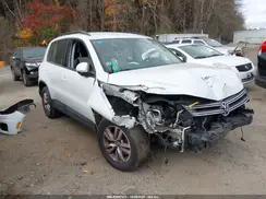WVGBV7AX1GW587407 2016 VOLKSWAGEN TIGUAN