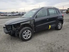 WVGBV7AX1HK001040 2017 VOLKSWAGEN TIGUAN