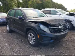 WVGBV7AX1HK001202 2017 VOLKSWAGEN TIGUAN