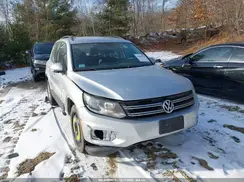 WVGBV7AX1HK013365 2017 VOLKSWAGEN TIGUAN