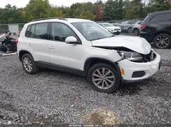 WVGBV7AX1HK046866 2017 VOLKSWAGEN TIGUAN