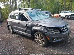 WVGBV7AX2GW579767 2016 VOLKSWAGEN TIGUAN