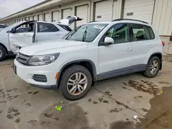 WVGBV7AX2GW589926 2016 VOLKSWAGEN TIGUAN