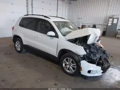 WVGBV7AX2GW597461 2016 VOLKSWAGEN TIGUAN