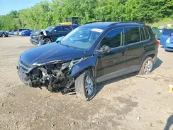 WVGBV7AX2HK029199 2017 VOLKSWAGEN TIGUAN